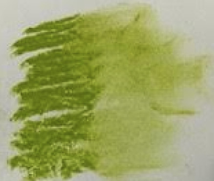Νο. 204 - ξηρό παστέλ l'ecu Sennelier Leaf green